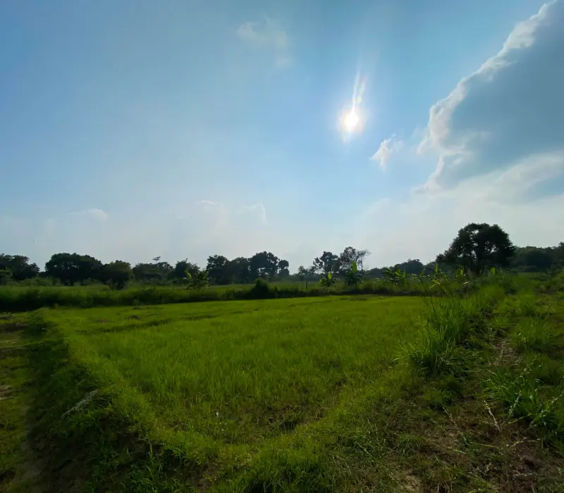 Habarana