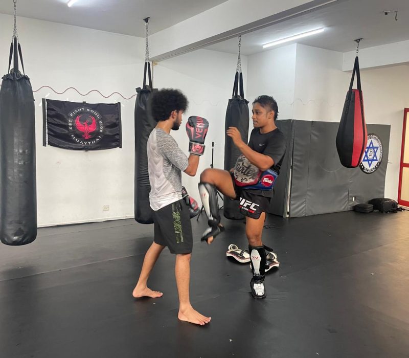 MMA 04