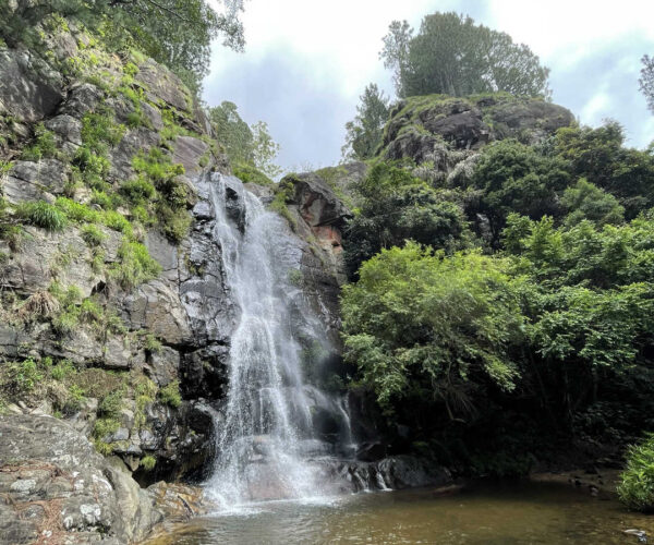 babarakanda-03