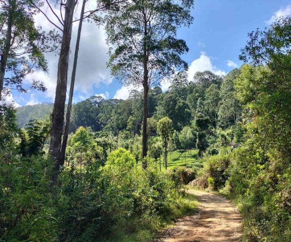 dayagama-to-horton-plains-gallery-001