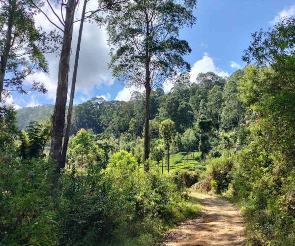 dayagama-to-horton-plains-gallery-001
