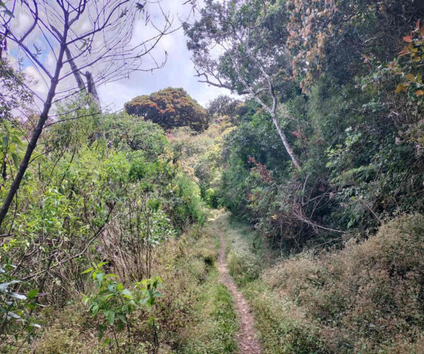 dayagama-to-horton-plains-gallery-004