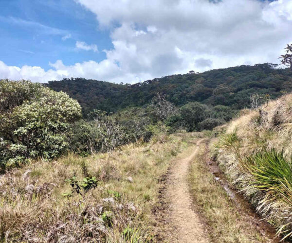dayagama-to-horton-plains-gallery-005