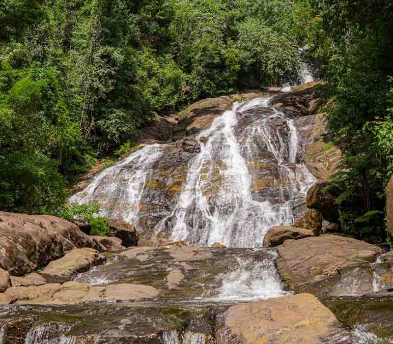 forest-to-rapids-04