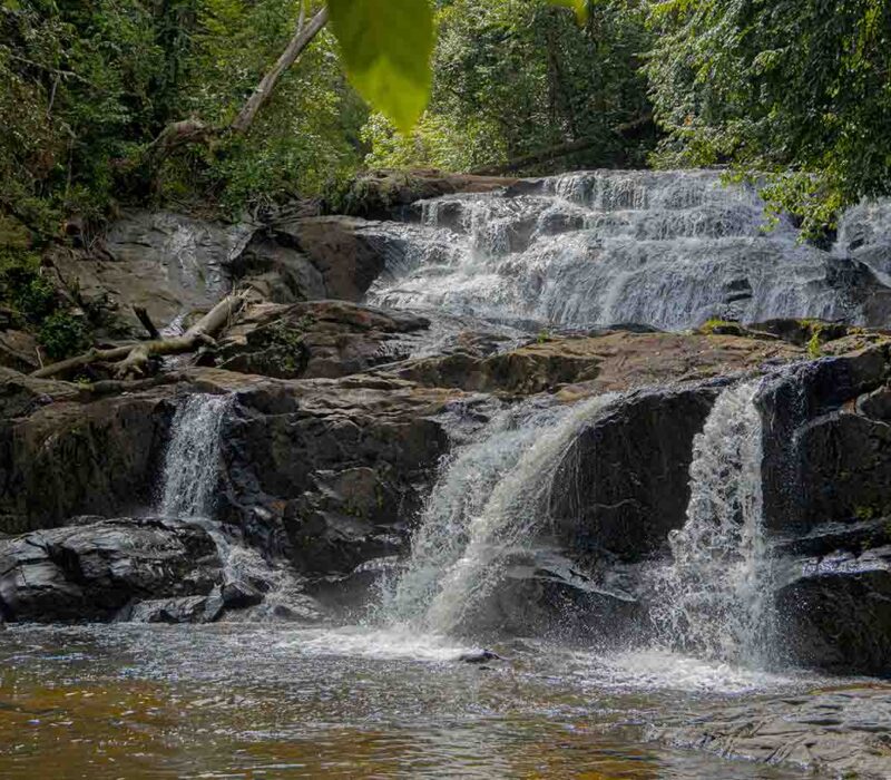 forest-to-rapids-05