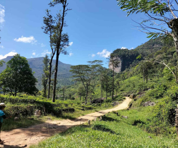 galaha-to-loolkandura-gallery-001