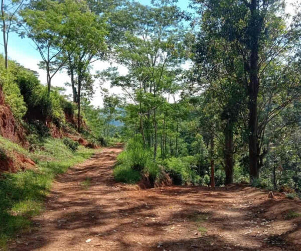 galaha-to-loolkandura-gallery-004