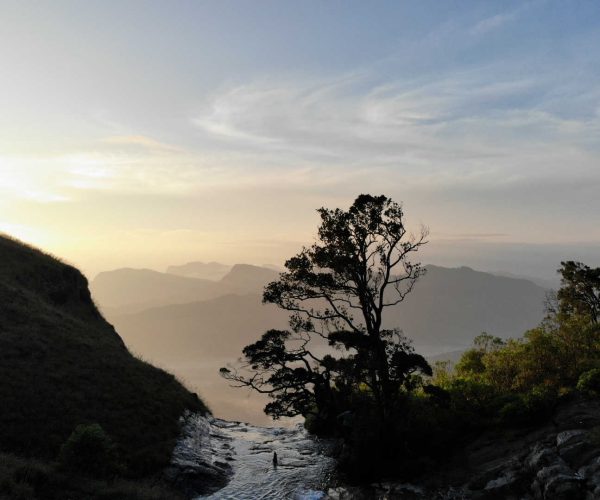 geradi-ella-03