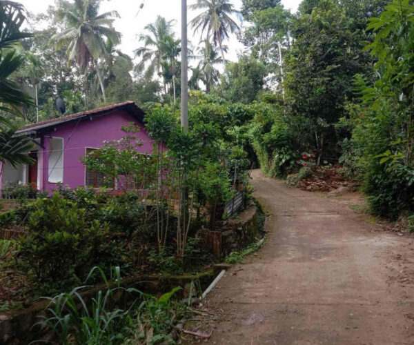 hali-ela-to-ettampitiya-gallery-001