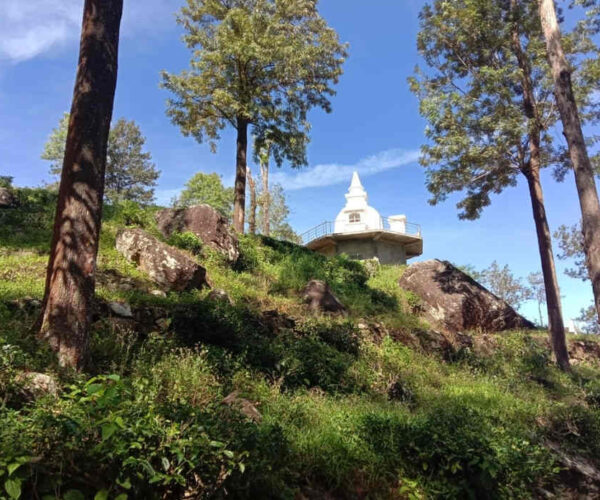 hantana-galaha-gallery-005