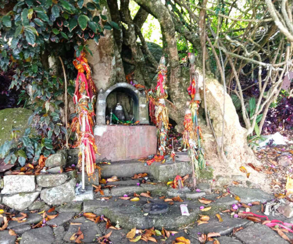 haputale-to-st-catherine-gallery-003