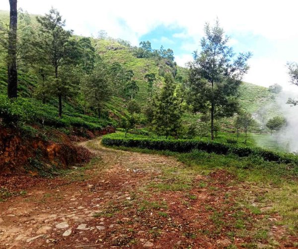 haputale-to-st-catherine-gallery-004