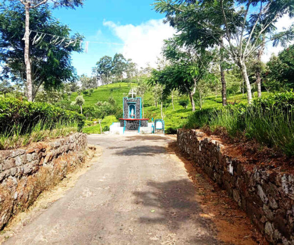 haputale-to-st-catherine-gallery-006
