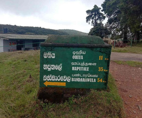 horton-plains-to-udaweriya-gallery-002