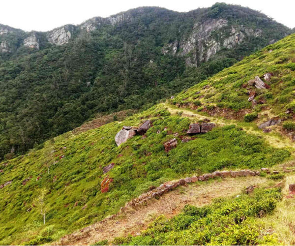 horton-plains-to-udaweriya-gallery-004