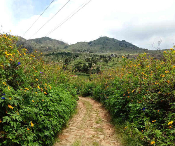 horton-plains-to-udaweriya-gallery-005