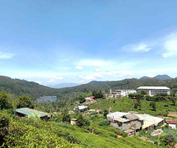 kandapola-to-pedro-estate-gallery-001