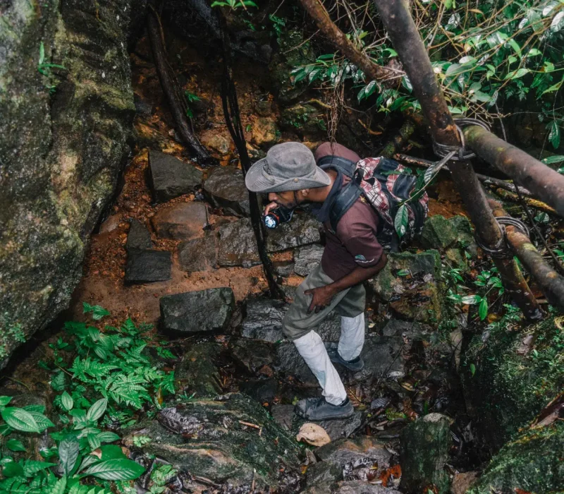 kanneliya-rainforest-02