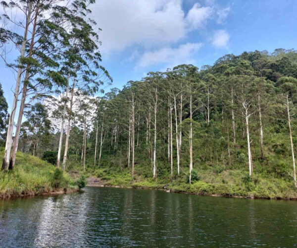 kotagala-to-norwood-gallery-004