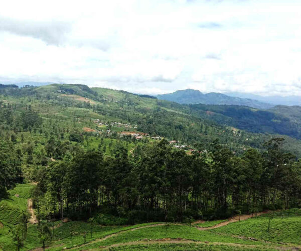 loolkandura-to-tawalantenne-gallery-002