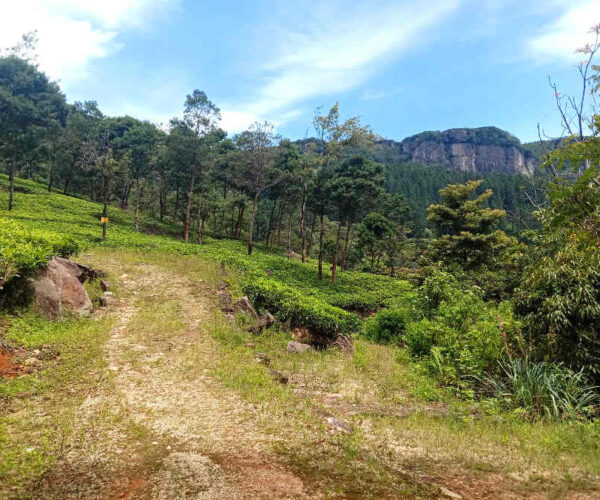 loolkandura-to-tawalantenne-gallery-003