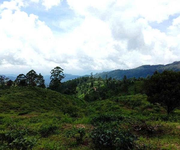 loolkandura-to-tawalantenne-gallery-005