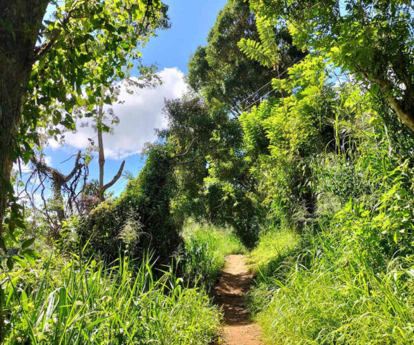 makulela-to-ella-gallery-005