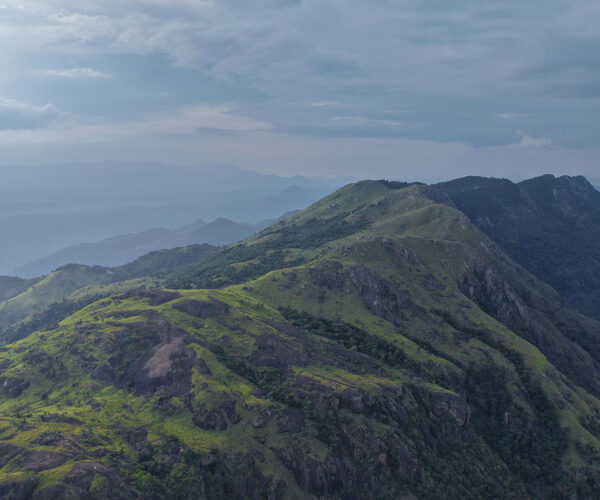 maragala-1