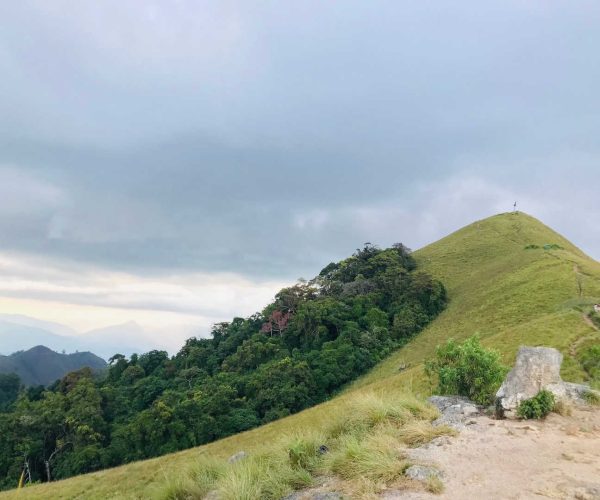 narangala-01