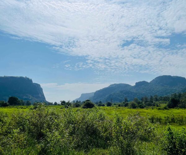 nuwaragala-5
