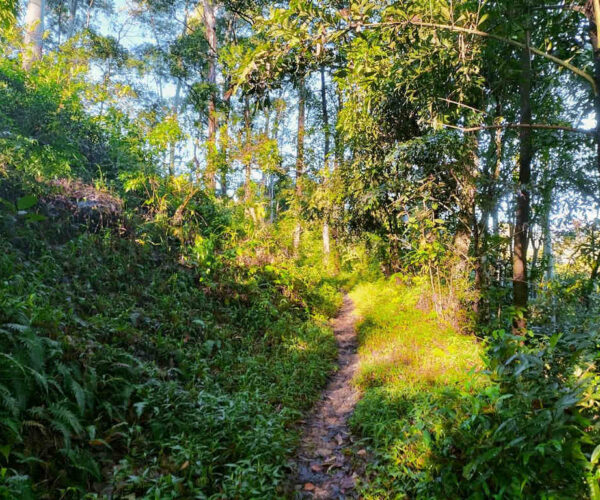 pundaloya-to-watagoda-gallery-003