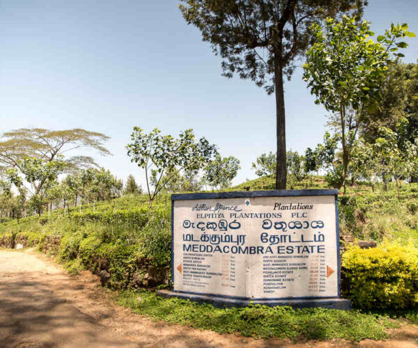 pundaloya-to-watagoda-gallery-006