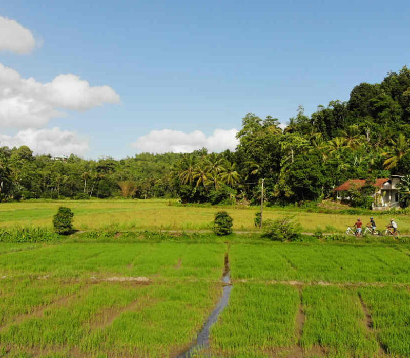 scenic-bicycle-trail-gallery-006