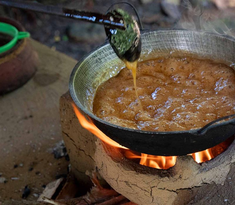 sweet-sap-stories-05