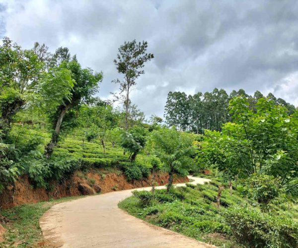 uda-pussellawa-to-kandapola-gallery-001