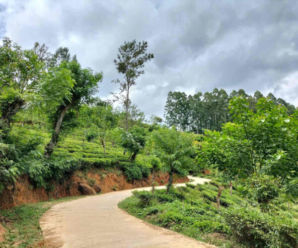 uda-pussellawa-to-kandapola-gallery-001