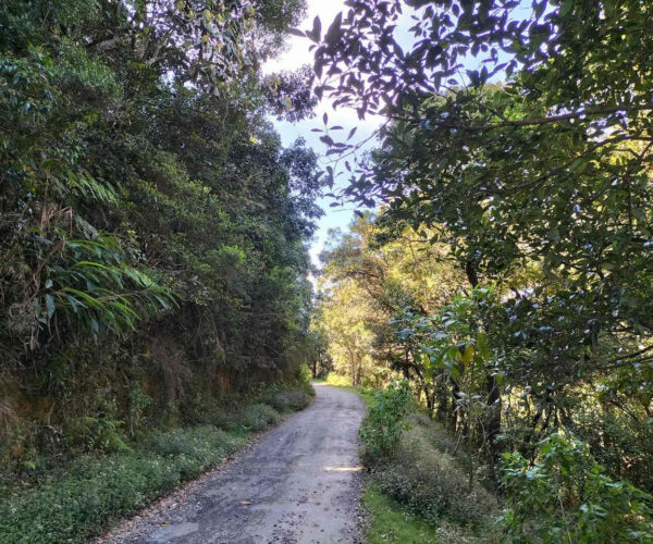 uda-pussellawa-to-kandapola-gallery-003