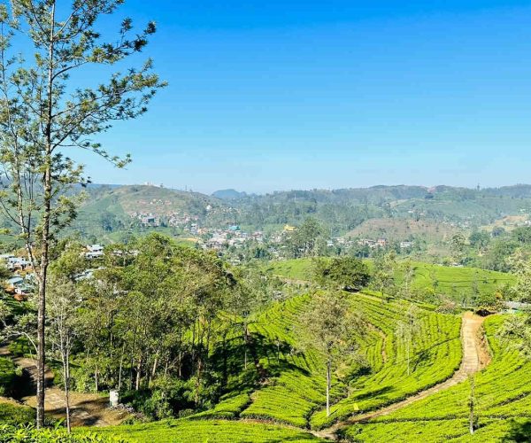 wattagoda-to-kotagala-gallery-002