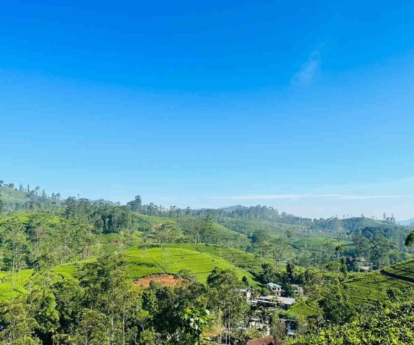 wattagoda-to-kotagala-gallery-006
